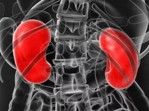 ���Ͼŵ��ݽ���� ����ÿ��Ĺ������ж���