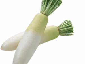 �����������ܲ�ʳ�Ʒ�