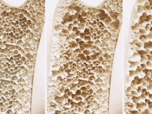 ����������ô�� �������ɳ�������ʶ����