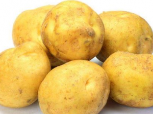 ���������Ը����� ��Щʳ�ﲻ�ܺ�����һ���