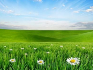 ����Ҫ��Ի���ʳ��