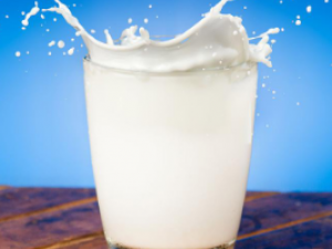 �̵�����ǿ��������12��ʳ��