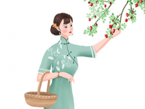 ��������Щ��Ч���� ��֪����