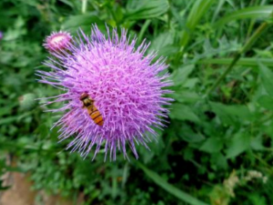 �̶��˹�Ч������