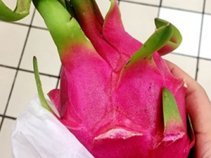 �������ĺô�����Щ �������Ľ���