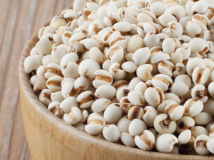 ���ʵĹ�Ч���� ���ʵ�ҩ������