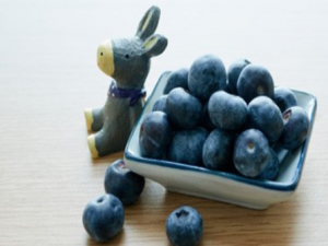 ��ݮ�Ľ��� ��Щʳ�ﲻ�ܺ���ݮһ���