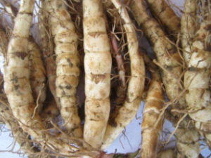 �زεĹ�Ч������