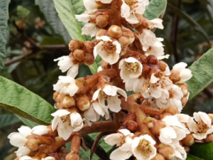 ���˻��Ĺ�Ч������