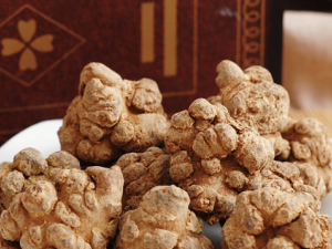 ��θ��������Щ ������ζԴ����θ��