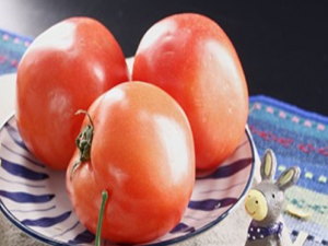 �������Ľ�������Щ �ո�����������������θ�Ĳ���