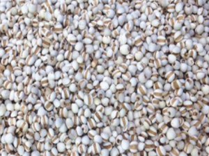 ��������������Щ �����ɻ������ʽ���Ѫѹ