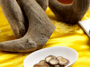 ¹�׵Ĺ�Ч����׳�� ¹����������Ѫ����