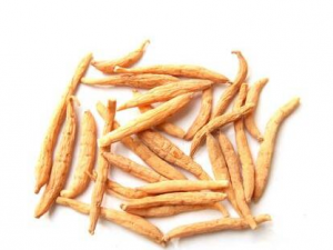 ̫�ӲεĹ�Ч����Щ ̫�Ӳο��������￹˥