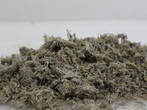 ��µĹ�Ч����Щ ��¿ɽ�Ѫ֬�뿹��������Ӳ��