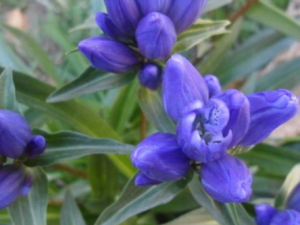 ����������Щ���� �����ݿ�������ʪк�ε���