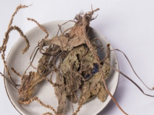 ��ǰ������Щ��Ч���� ��ǰ�ӵ���ȿɽ�������