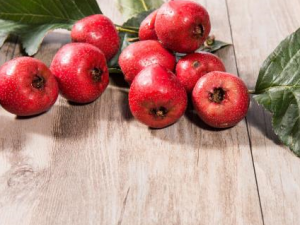 ����������Ŀ���Ժ���Щ��Ʒ