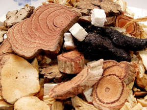 �����Ի���Ӧ������� ��ҽ������ƫ���Ƽ�