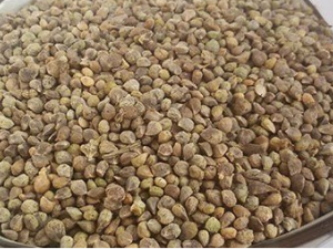 ����������Щ��Ч���� �����ӿ������Ŀֹ��ƽ��