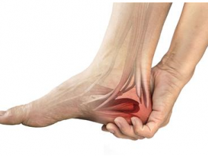 ����Ƣθ�ļ���С���� һ����ѧѧ��