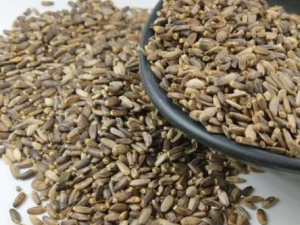 ��ҩһ��Ҫ���Ⱥ��� ��ҩ���õĽ���