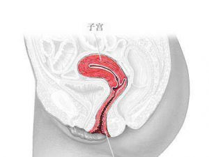 ��Ѫ֢������ƫ�� ��ҽ����������Ƶ�