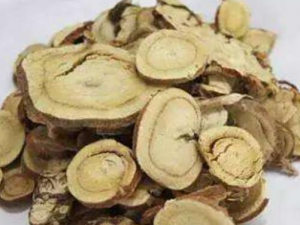 ɸʲݵĹЧ ɸʲݾԵĿ