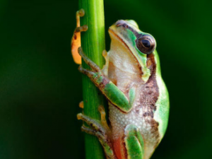 ��������Щ��Ч���� ��������ʪ��