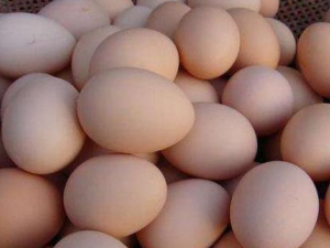 ������������ӵ�С��ʶ ��ע�⵽����