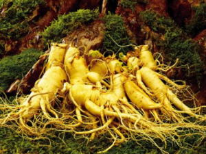 Щҩľп˥ϹЧ ̵㿹˥ϵʮҩ