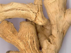 �ڽ��Ĺ�Ч���� �ڽ�������ɢ���¾�ֹѪ