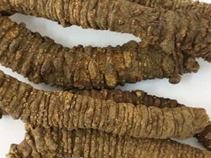 ǼĹЧ ǼƷ纮ðͷʹ