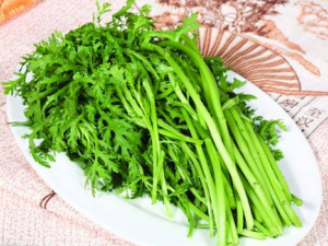 �������ε���ʳϰ�� �������εĹ�Ч����