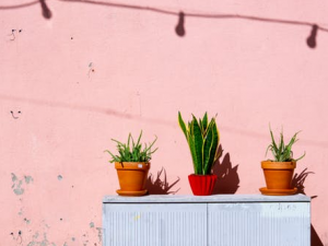 ���۲����� ��۵ķ���������