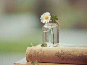 �����پ���ô�� �����پ�����Щ����ƫ��