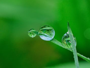 �ִ���ˮ��Ҫ�������� ��Щ�˲��˷����ִ�