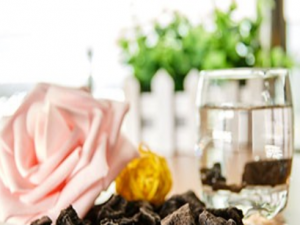 ڵĹЧüԷ ԺڵĽʲô