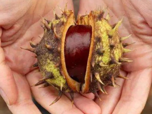 ����������ô���� ������������ҽ���Ʒ���