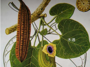 ��ҽ��ô�жϾ���ͨ��ͨ ���粻ͨ��η���