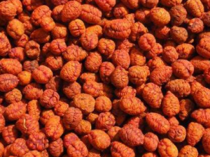 �����ʵĹ�Ч������ ��������������Ҳ�����г�ϸĩֱ�ӿڷ�