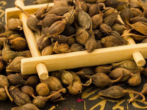 ҩȥӡ ҩȥӡƫЩ