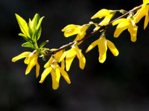 ȥ���������в�ҩ����Щ ��Щ�в�ҩ����ȥ��������