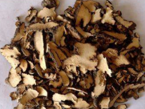 �ʲݹ�֦�Ĺ�Ч�Լ��÷����� �ʲݹ�֦�ζ���