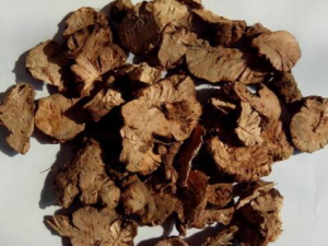 ������Ĺ�Ч������ ������Ľ���