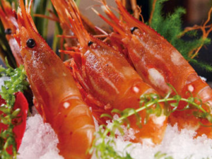 ���������ʳ���� �����ﲻ�ܳ�Ϻ��֪����