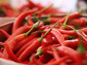 �����ı���������ֵ�� �����ٽ�ѪҺѭ��������