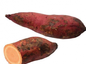 ��Щ���߹�Ƥ���¶� С�������ϴ���ߵ�С����