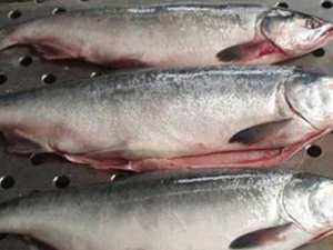 �������Ӫ����Ч �����ѡ������