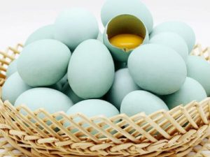 �ڼ��������ѡ �ڼ�����Ӫ����ֵ